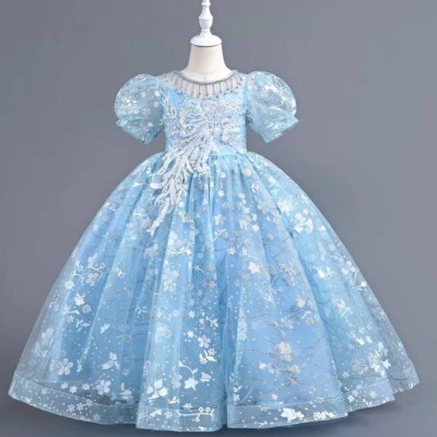 Frozen Princess Gown