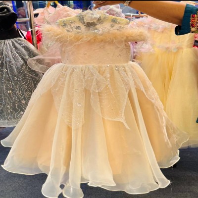 Elegant Golden Shimmer Organza Feather Party Gown for Girls