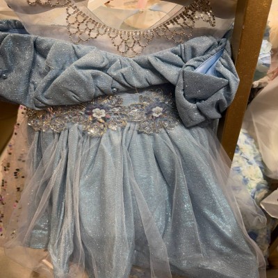 Royal Cinderella-Inspired Glitter Ball Gown