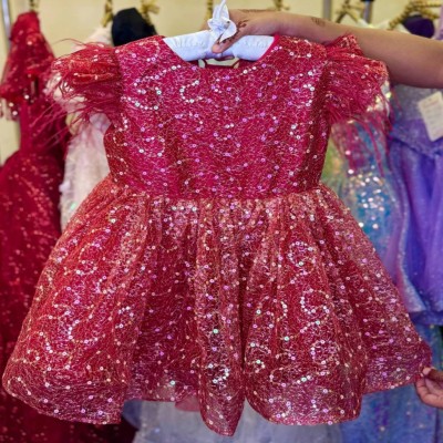 All-Over Sparkle Net Frock with Feathered Sleeves