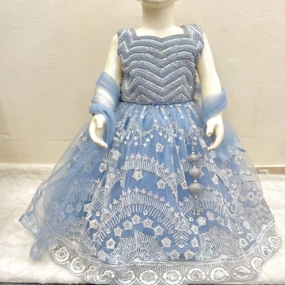 Elegant Ice Blue  Handwork CropTop 