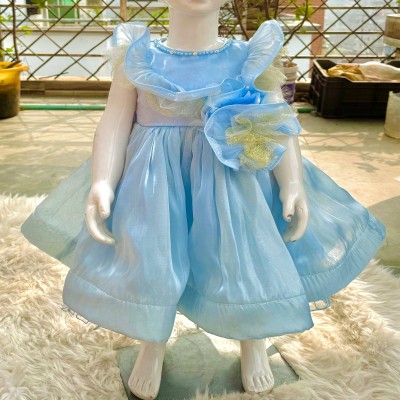 Sky Blue Organza Party Frock