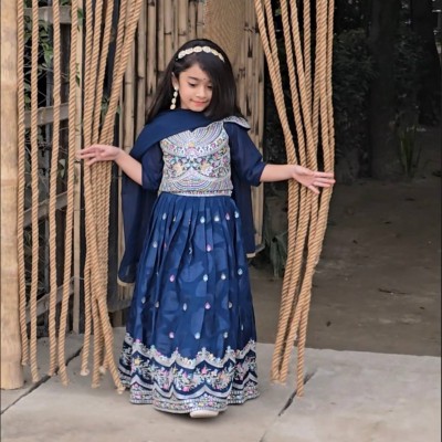 Navy Blue Heavy Embroidered Lehenga Choli with Dupatta